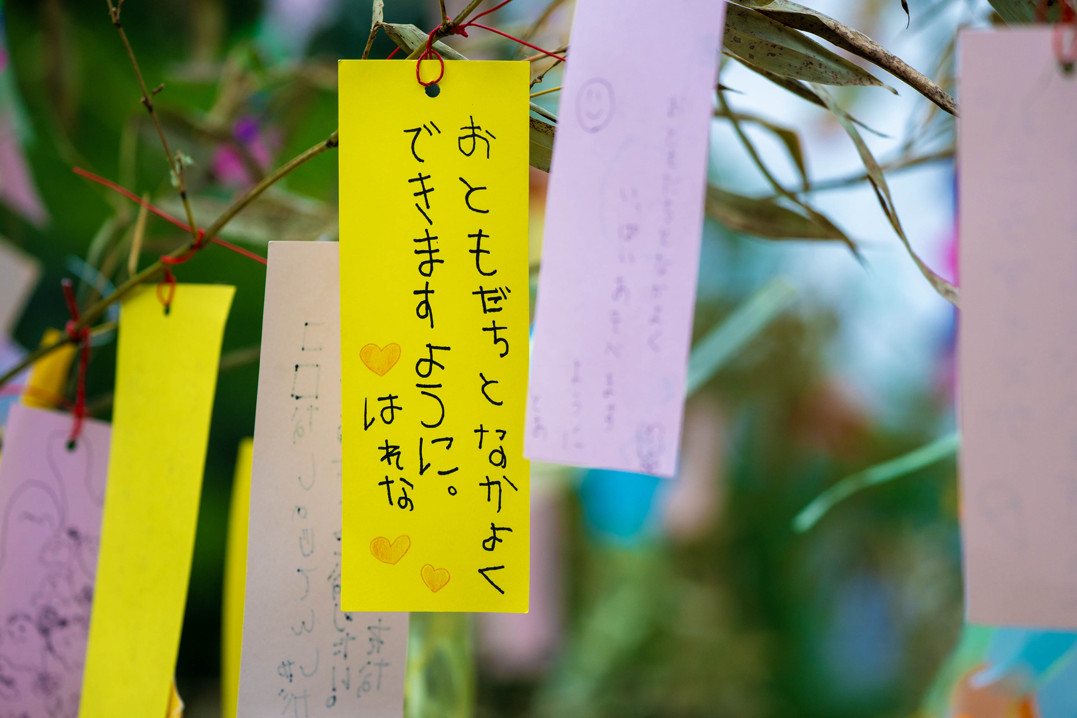 写真1
