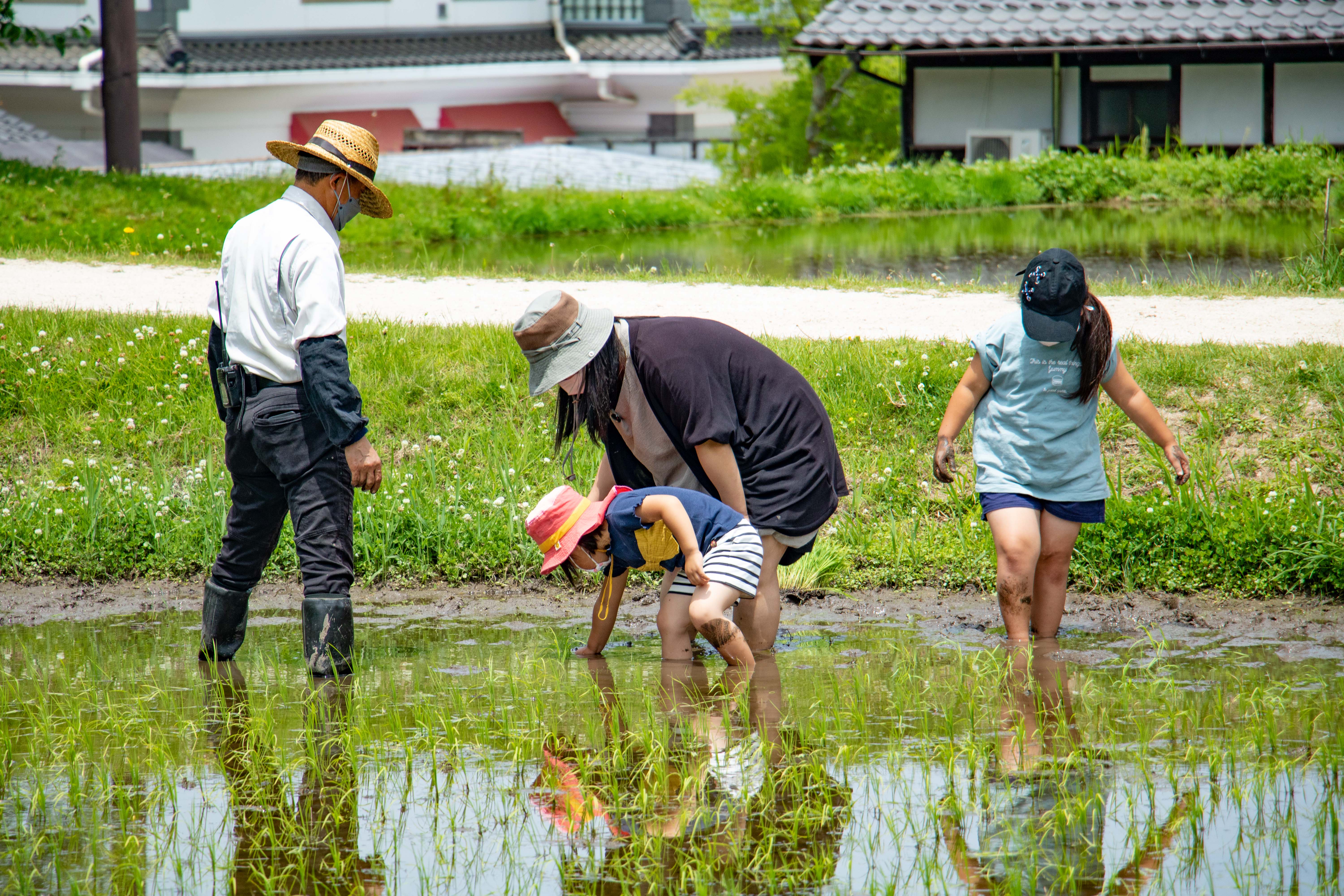 写真1