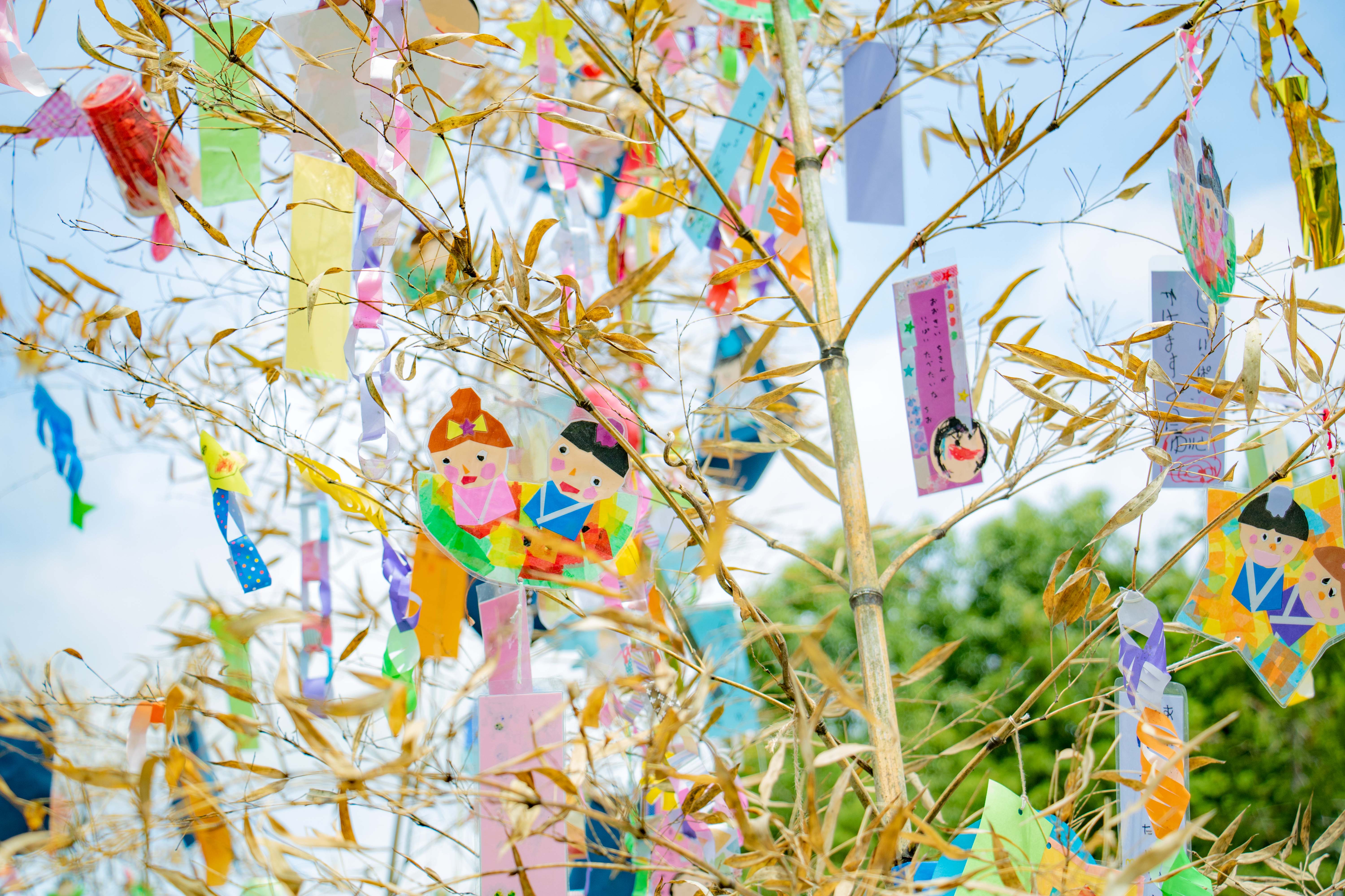 写真1