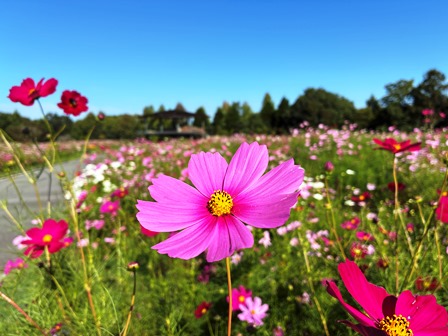 写真1