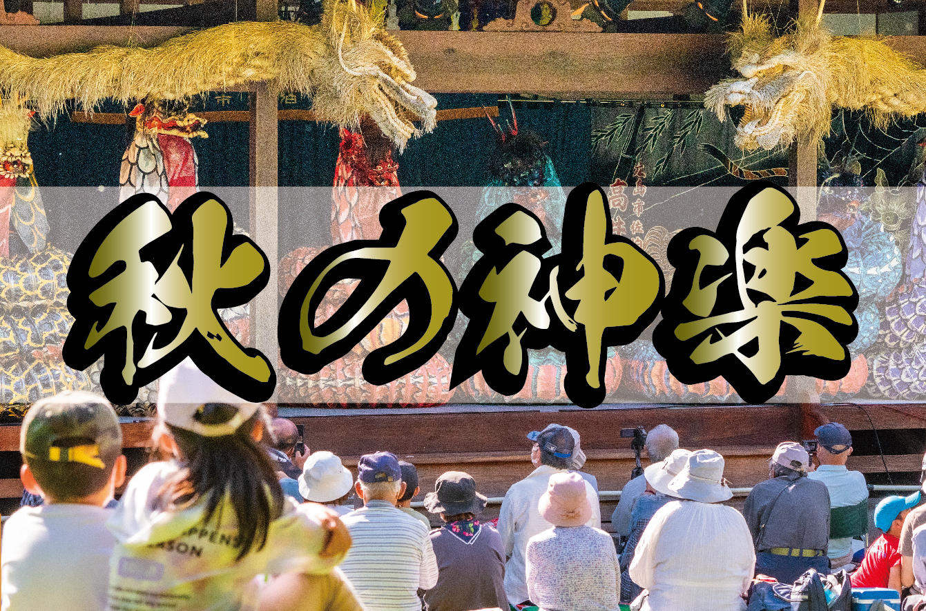写真1