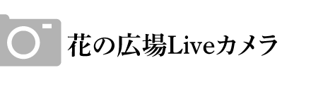 花の広場Liveカメラ