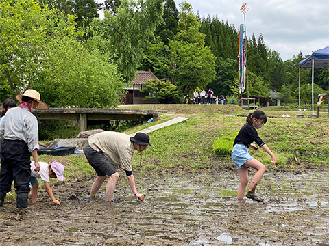 田植え体験写真