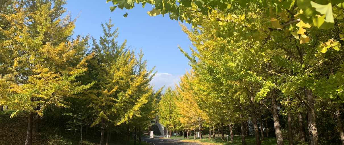トップ 国営備北丘陵公園