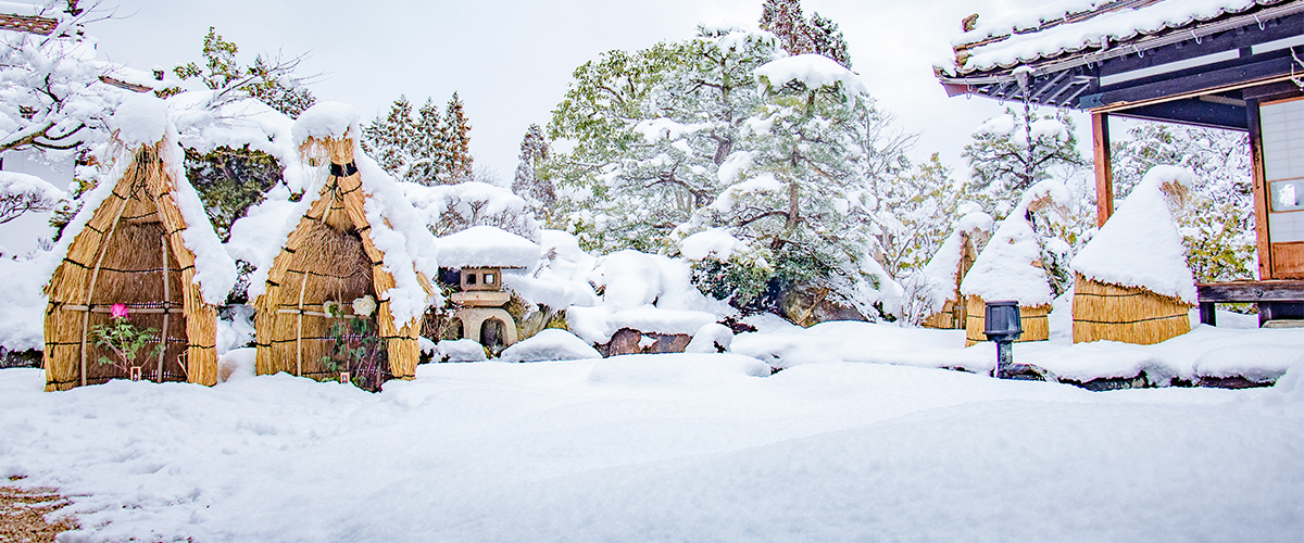 トップ 国営備北丘陵公園