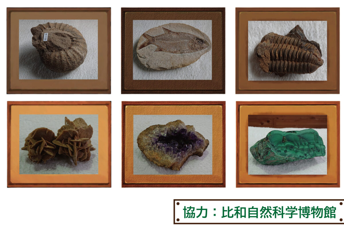 博物館出張展示「比和自然科学博物館から化石たちがやってきた！」