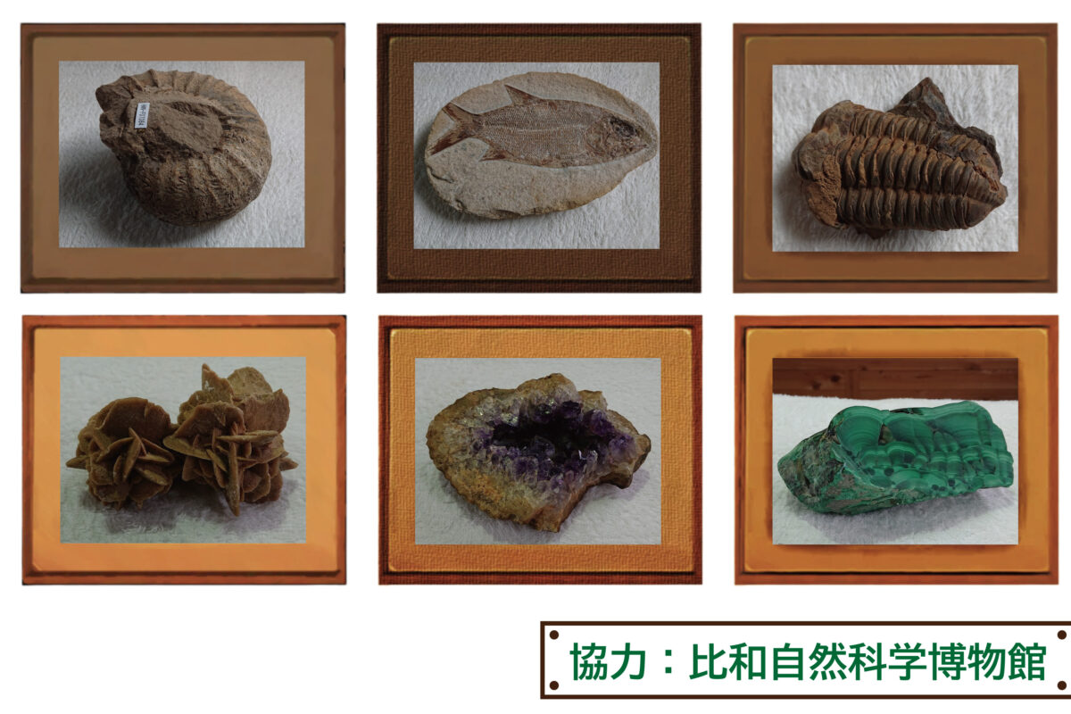 博物館出張展示「比和自然科学博物館から化石たちがやってきた!」